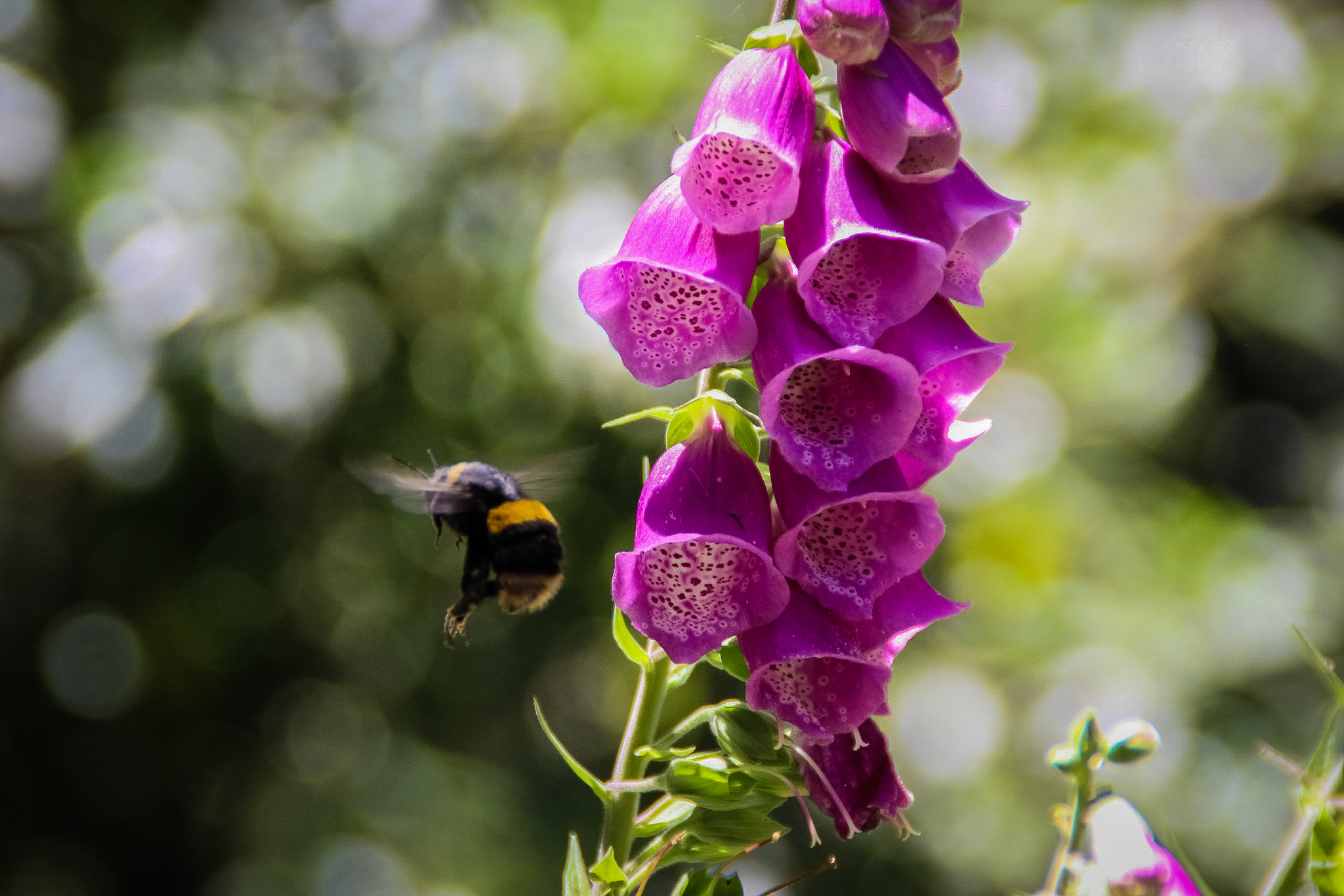 Mental Health Support Worker - Job in Melbourne - Circle Support