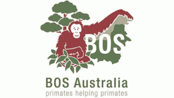 Borneo Orangutan Survival Australia's logo