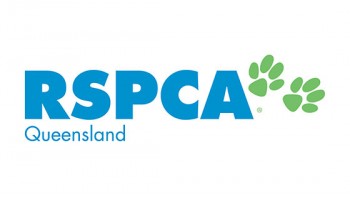 RSPCA Queensland's logo