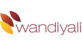 Wandiyali's logo