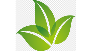 EthicalTesting's logo