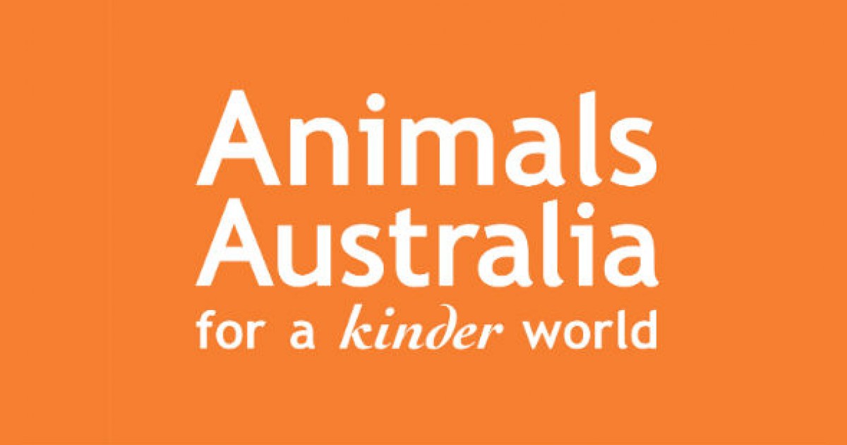 Supporter Liaison Job in Melbourne Animals Australia