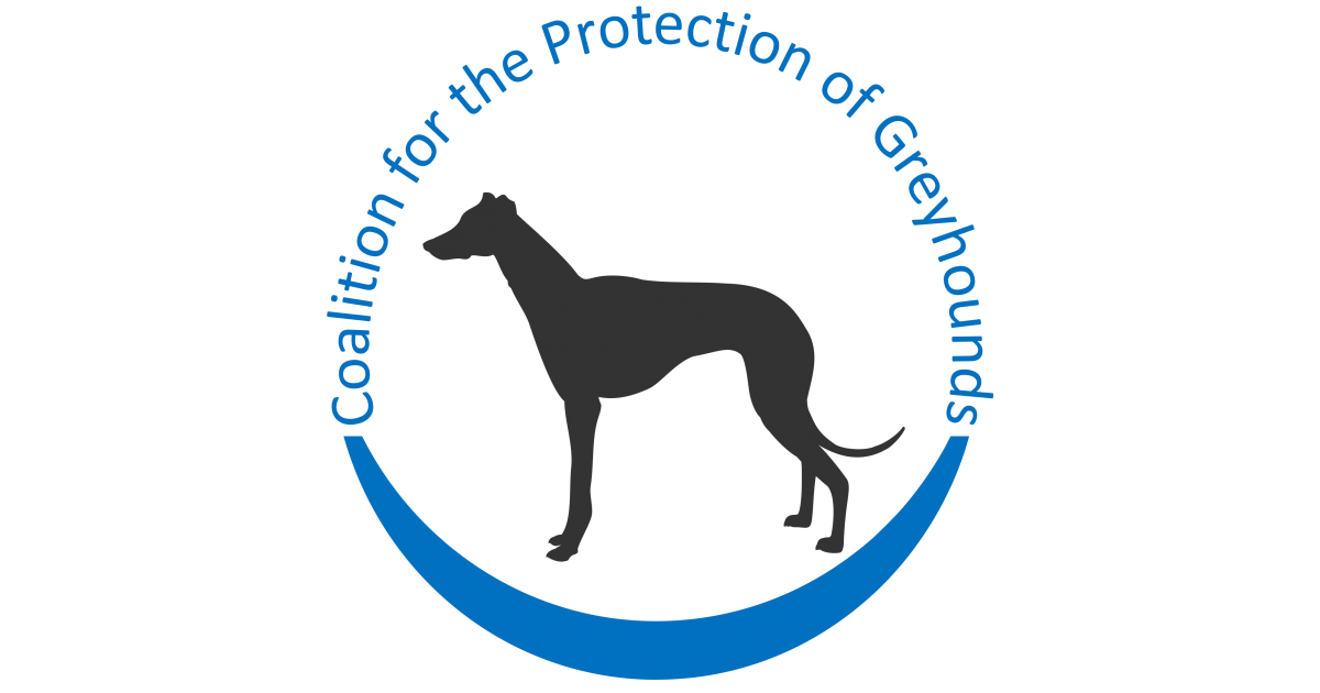 Digital Volunteer Media Coverage Assistant, Processing Remote Job