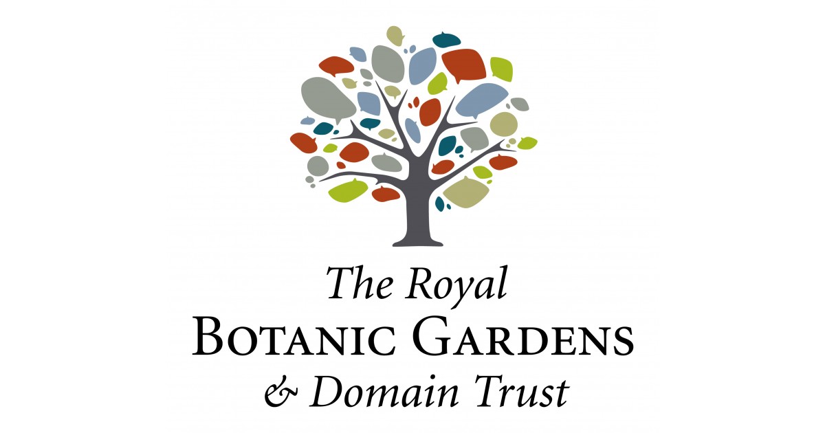 Senior Media and Content Officer (Identified) Job in Sydney Royal