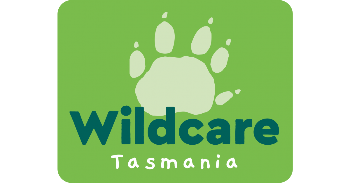 Chief Executive Officer Job in Hobart Wildcare Tasmania