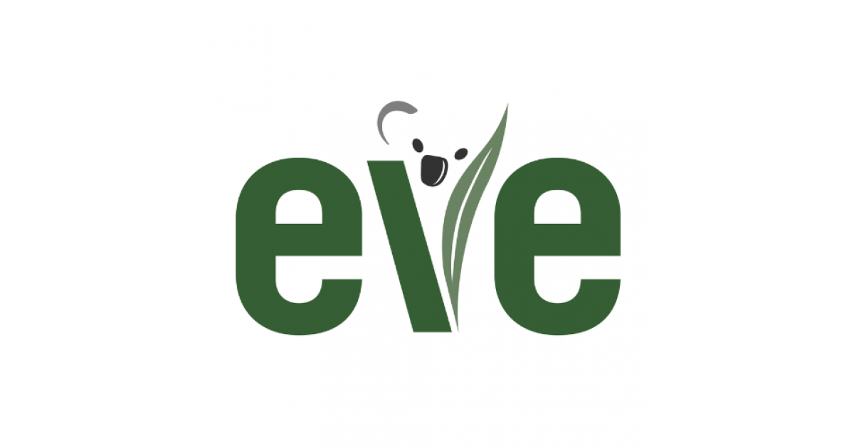 Wildlife Veterinarian Koala Focus Job in Brisbane & Gold Coast