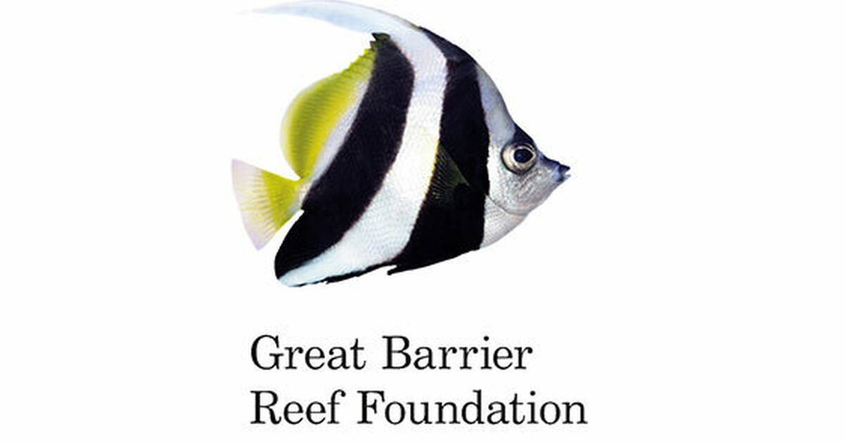 Program Manager Resilient Reefs Initiative Flexible Location Job in Brisbane & Gold Coast