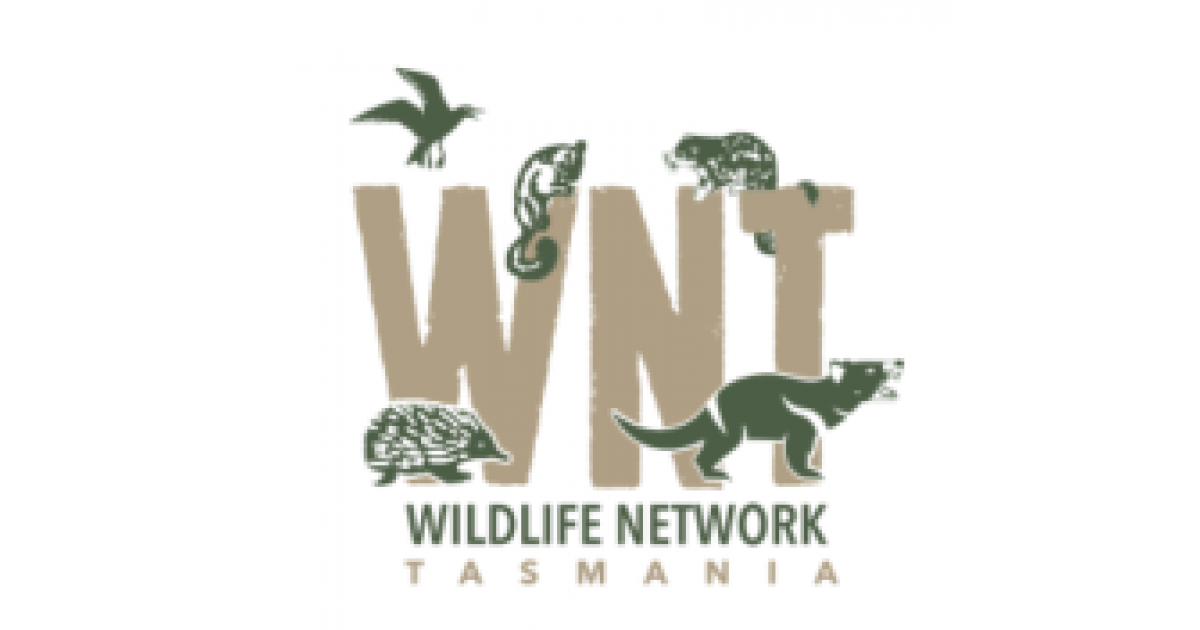 Volunteer NonExecutive Directors Flexible Location (Tasmania) Job