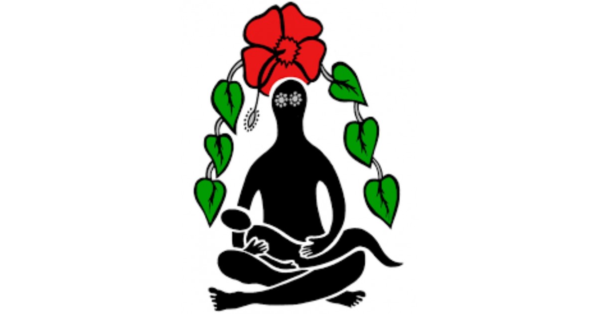 CEO Townsville Job in Townsville First Nations Women's Legal