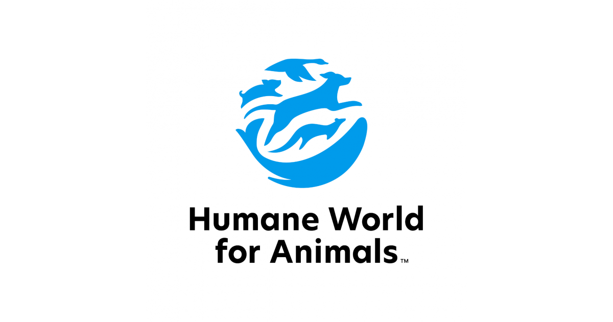 program-manager-policy-wildlife-job-in-sydney-humane-world-for
